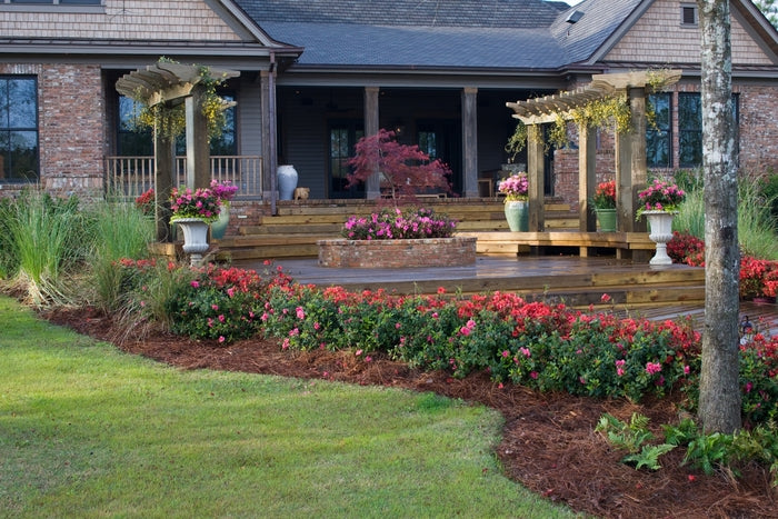 Encore® Autumn Embers™