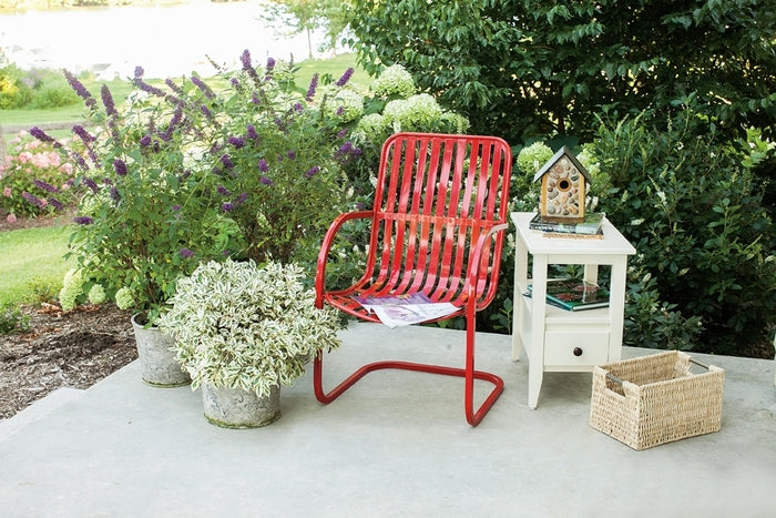 Miss Violet Butterfly Bush