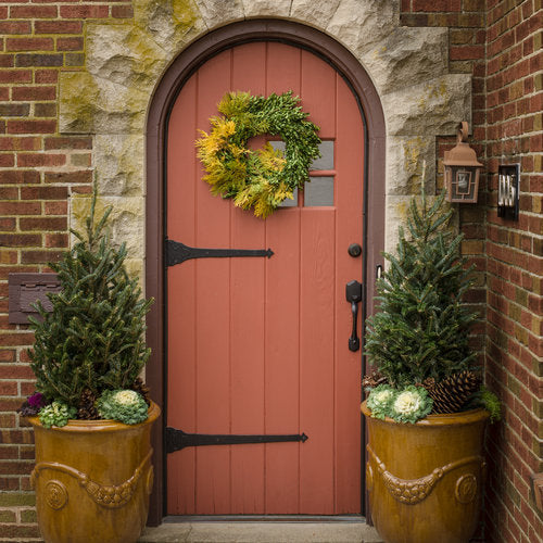 Sprinter® Boxwood