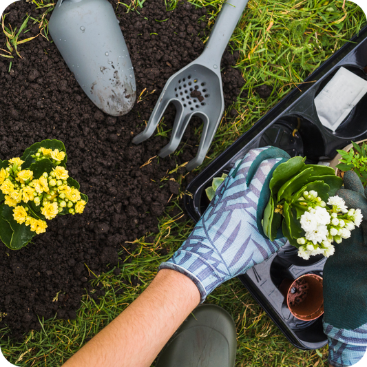 Essential Tips for Beginner Gardeners: Starting Your Green Journey