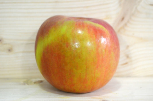 Fuji Apple